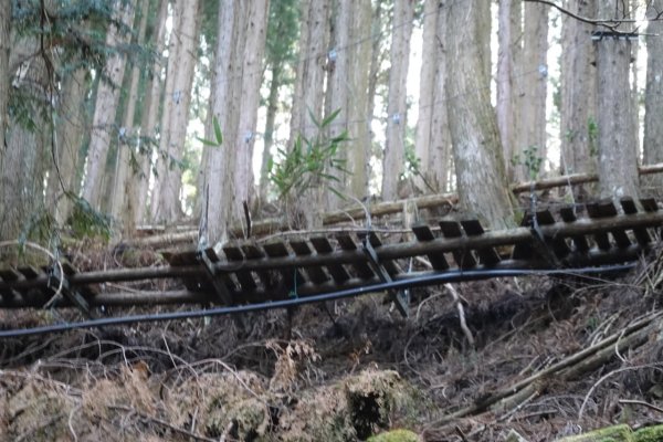 熊野古道小邊路.熊野三山2485450