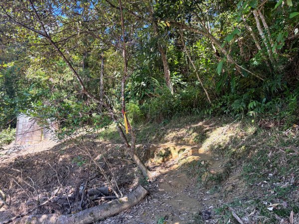 五分山系-望古瀑布段2896289