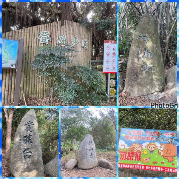 賞梅快閃-2天ko南投小百岳七座➕二條百大2979846