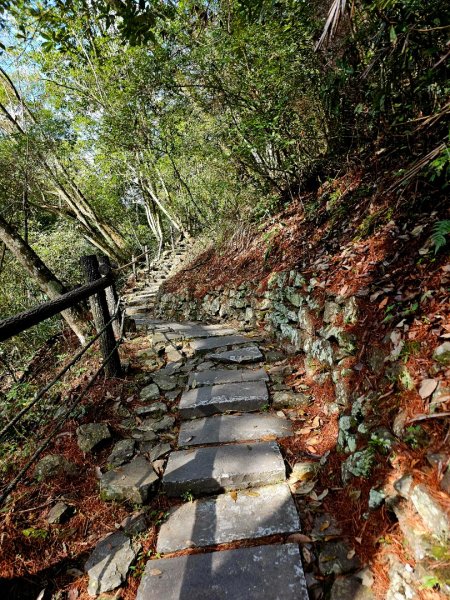 波津加山-谷關七雄(老四)3015162