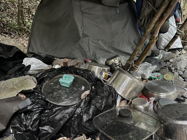 蝶夢八唐搜尋失蹤者 2025.11.252954303