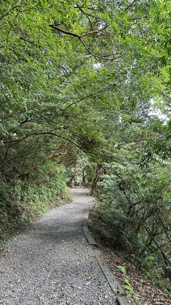 我の夏日健行~天母古道→翠峰瀑布2221095