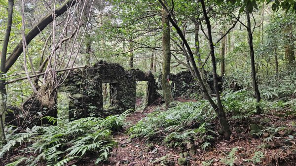 20260211庚子坪溫泉-赤石六山2997585