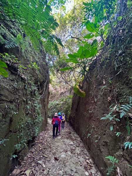 彰化一線天2657588