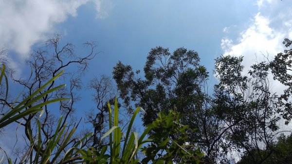 2020 7/11 石門山1029636