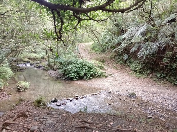 雙溪區石龜福德廟+坪溪古道+梗枋古道+叢雲山+叢雲山北峰+宜1縣縣界O型3019492