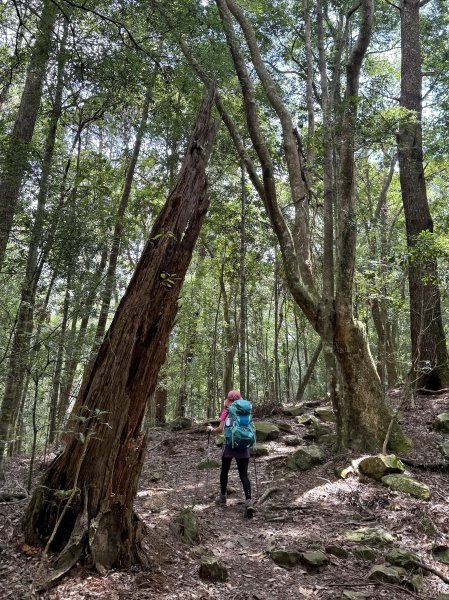 波津加山 202509142893386