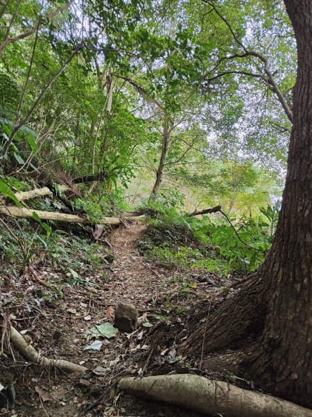 2023.12.27 大溪金面山2839302