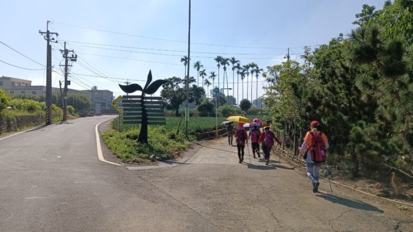 【小百岳】松柏嶺走松柏坑山連走坑內坑步道2626536