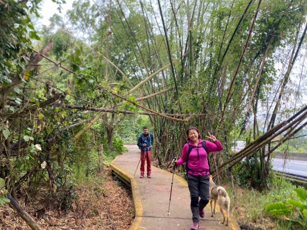 田中森林公園步道、赤水崎公園步道、花牆、龍過脈古蹟2750902