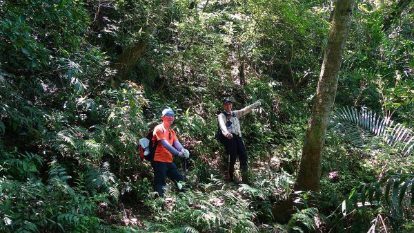 貢寮虎子山古道、龜媽坑古道O型122300