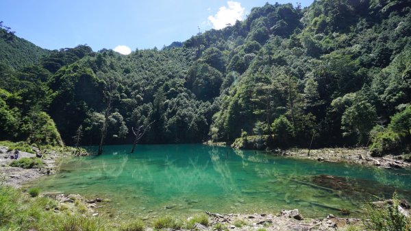 雨季限定版神池（小關山林道）2271636