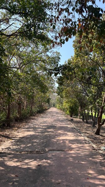 🚴‍♂️ 台南單車慢漫遊3003325