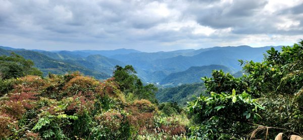 皇帝殿，獅公髻尾山，指南宮千階步道（竹柏參道），十六分山，貓空尖，絹絲瀑布步道1971309