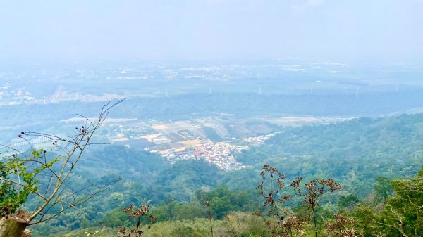 笠頂山(小百岳#76)2730833