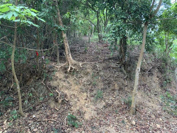 20250503屏東保和以山2781443