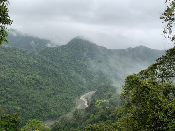 烏來大桶山登山步道1346315