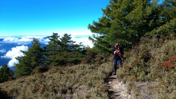 2019/01/06郡大山雲海美景500194