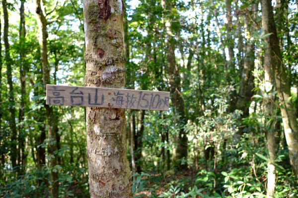 新竹尖石鄉 高島縦走1280671