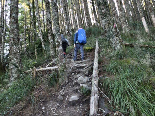 北一段(02/14)多加屯前峰2025_0906~132885110