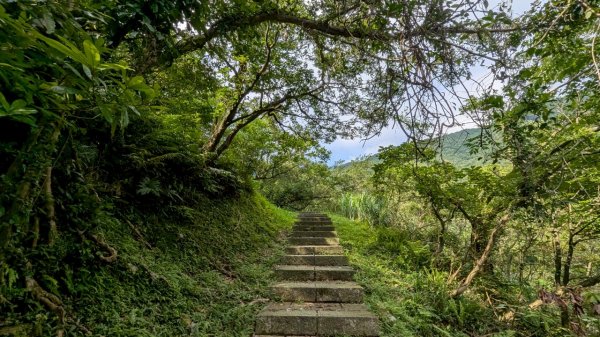 114.05.30大粗坑古道-金瓜石山-小粗坑山之旅2799437