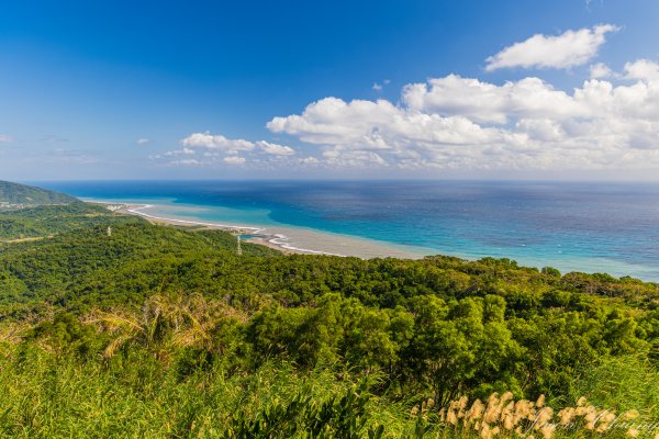 [台東]巴塱衛山2978312