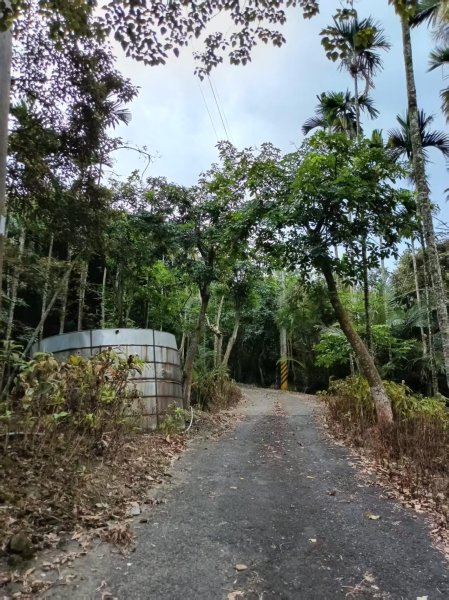 草屯「樹藤岩」台灣省政府圖根補點3131455
