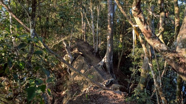 大橫屏山步道2977349
