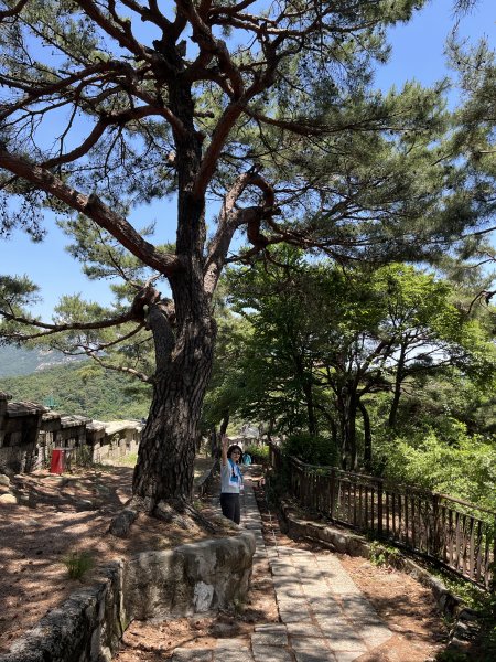 首爾北岳山城郭202306032189785