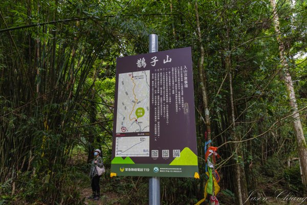 [宜蘭]鵲子山2932523
