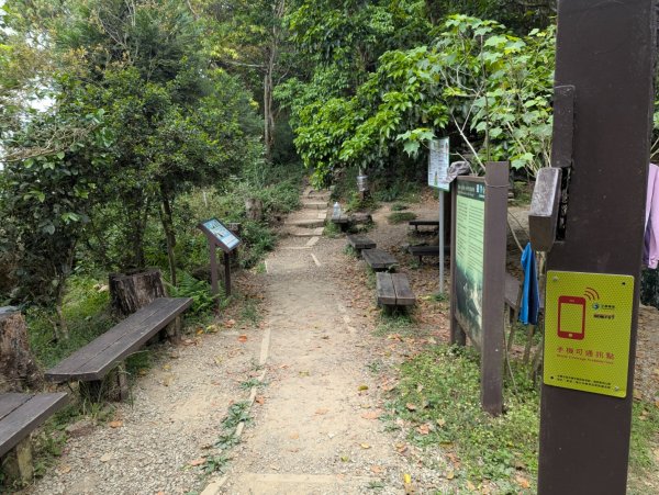 臺南大凍山2781268