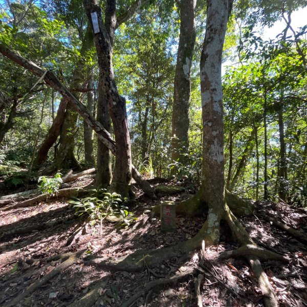 20251116_鳴海山（高雄小百岳）2941562