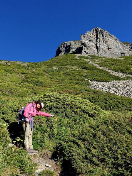 雪山主東北稜角+凱蘭特崑山腳三日431491