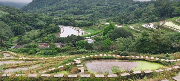 百年嵩山梯田&阡陌步道3051339