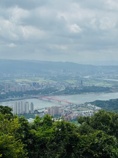 占山+小北插2863651