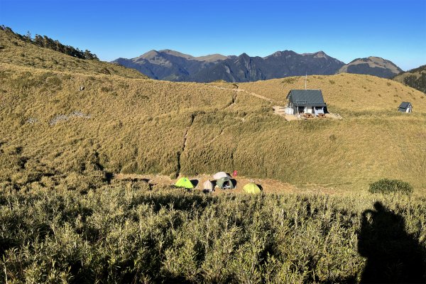 大小劍-油婆蘭全紀錄2674288