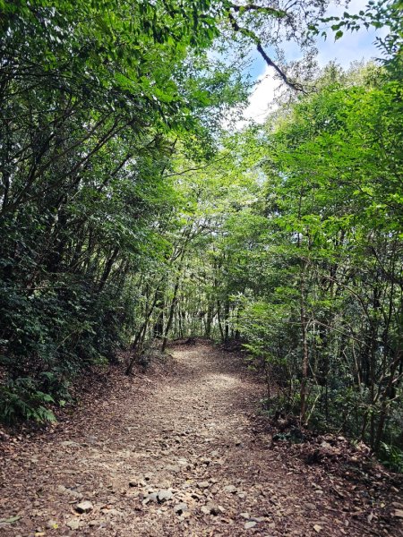 李崠山步道-2025森遊竹縣皮皮獅探險隊2892629