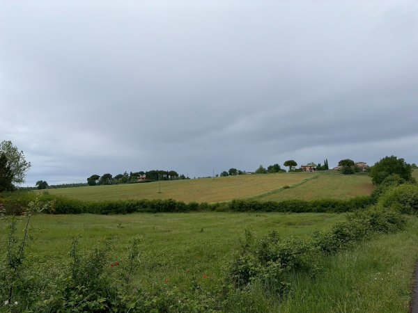 Via Francigena D3: monteriggioni-siena3072819