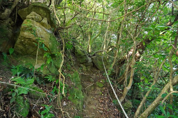 新北 瑞芳 粗坑口尖、碇內尖山、粗坑頭山、龍門山、滴水山2838284