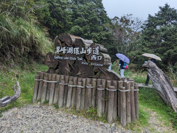 翠峰湖環湖。東口遇見黃喉貂2284310