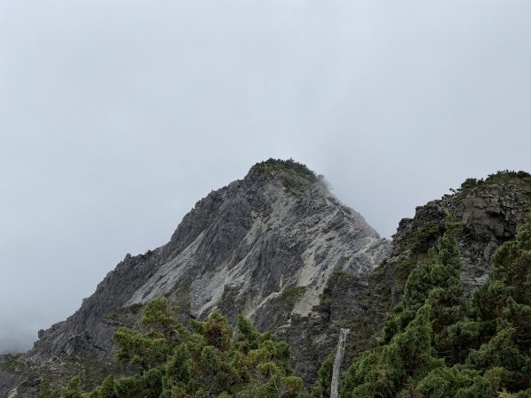 五天四夜北一段逆走，探訪帝王之山，朝聖寶島第一尖1831973