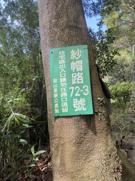 如墨暈染的春日邂逅｜中山樓墨染櫻 × 北投步道探花記2853887