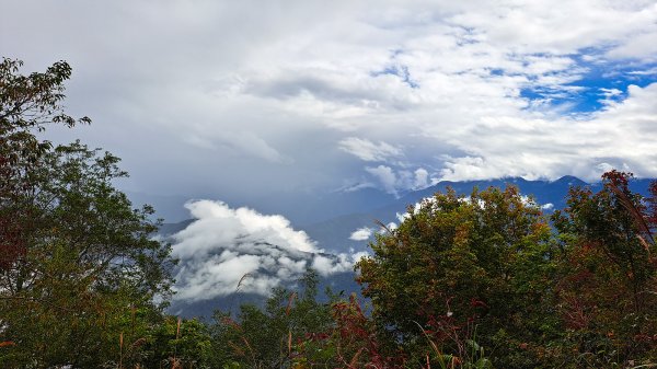 東洗水山1904310