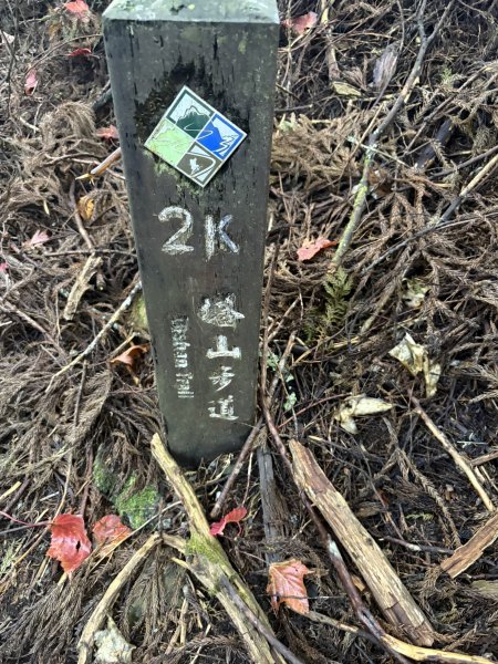 20251225塔山步道(大塔山)2970323