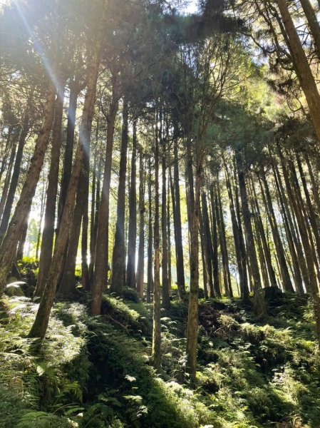 小百岳(59)-大塔山-202209251878712