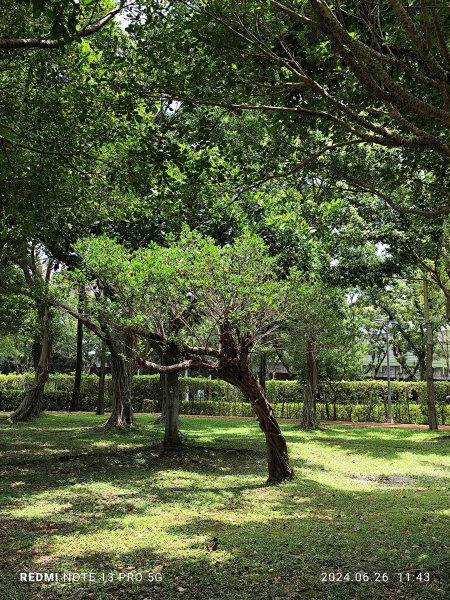 大安森林公園【走路趣尋寶】【臺北健走趣】2536134