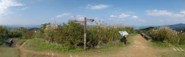 汐止區茄苳越嶺古道+上鹿窟崙山+九層坪山+四分尾山+大尖山8字走2981629