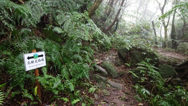 北縱走~風櫃口→大溝溪(12字完成集字)505293