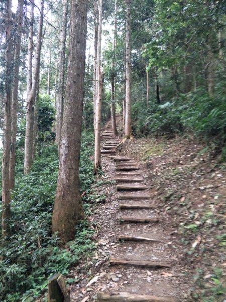 小百岳:東藤技山1654717