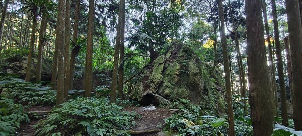 2025/12/06-光高天+南大龜+向天湖+三角湖山2957679